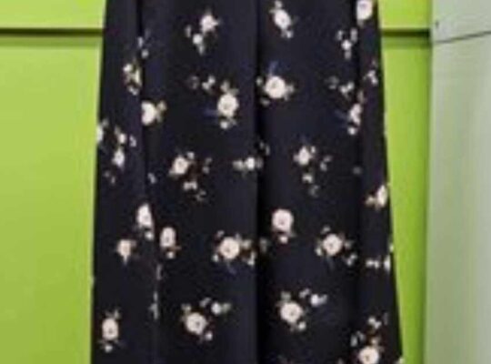 Women’s Dress