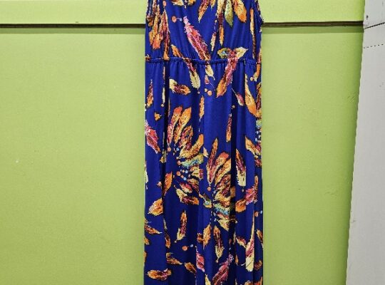 Women’s Dress
