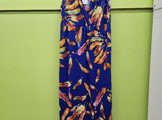 Women’s Dress