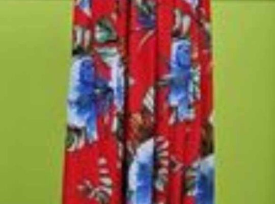 Women’s Dress