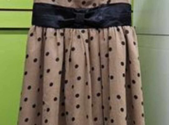 Women’s Dress