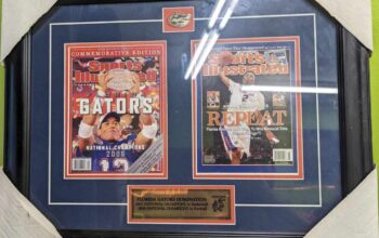 Florida Gators Picture