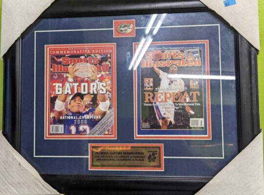 Florida Gators Picture
