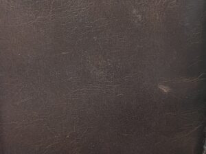 Fossil Wallet