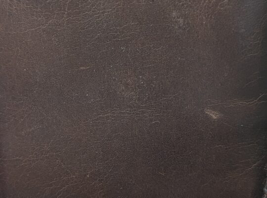 Fossil Wallet