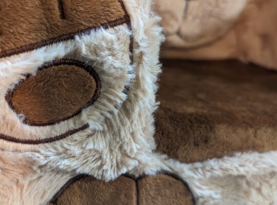 Kids Doggy Chair