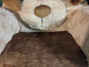 Kids Doggy Chair
