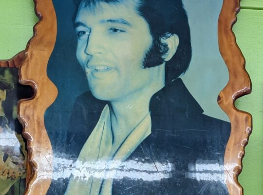 Elvis Picture