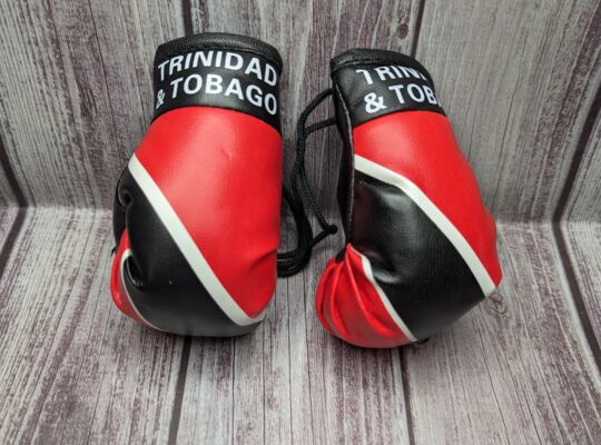 Trinidad and Tobago boxing gloves