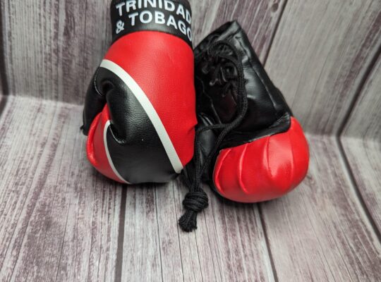 Trinidad and Tobago boxing gloves
