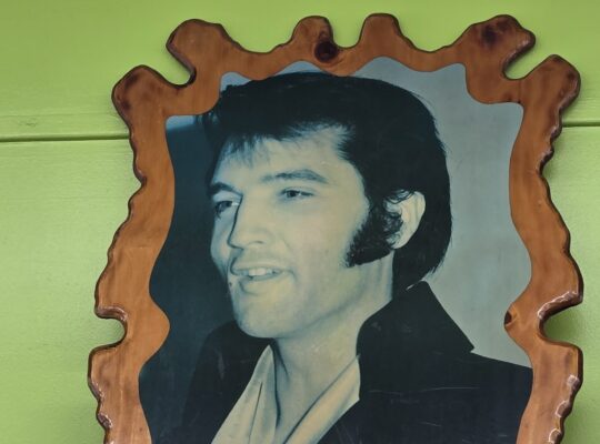 Elvis Presley picture